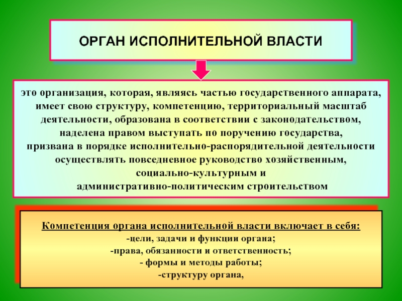 Полномочия территориальных органов. Цель органов власти. Орган государства имеет территориальный масштаб деятельности. Цели органов государственной власти. Постоянно действующий исполнительный орган юридического лица это.