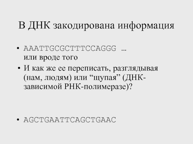 В молекулах днк закодирована информация о. В днк закодирована информация о.