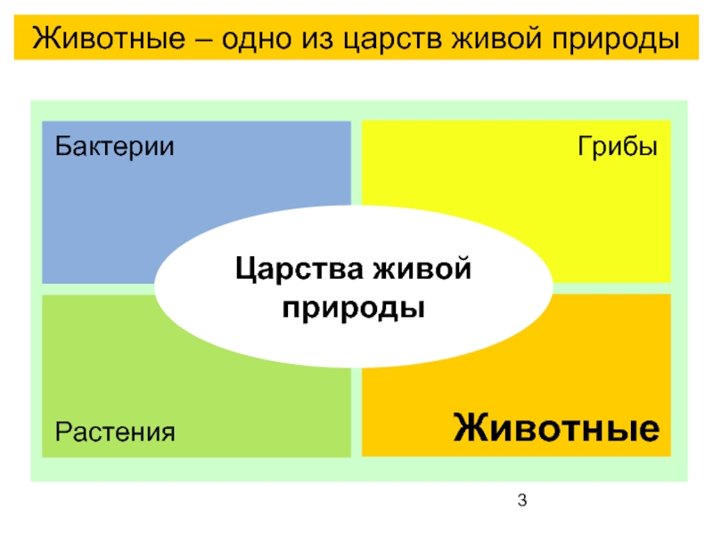 1 из царств природы