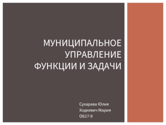 Муниципальное управление. Функции и задачи