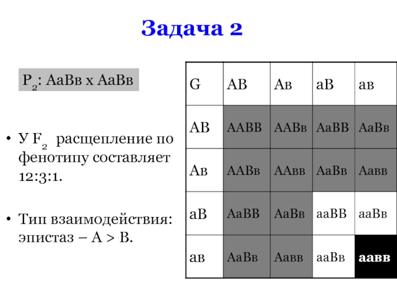 Расщепление латынь. AABB AABB фенотип. Расщепление по фенотипу. Расщепление 3 3 1 1 по фенотипу. AABB, AABB,AABB,AABB по генотипу и фенотипу.