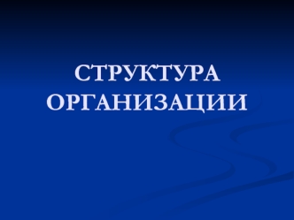 Структура организации