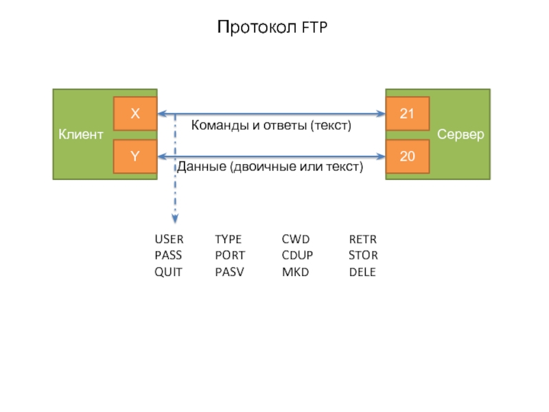 Текст user. Протокол FTP. Команды протокола FTP. Модель протокола фтп. Протокол FTP пример.