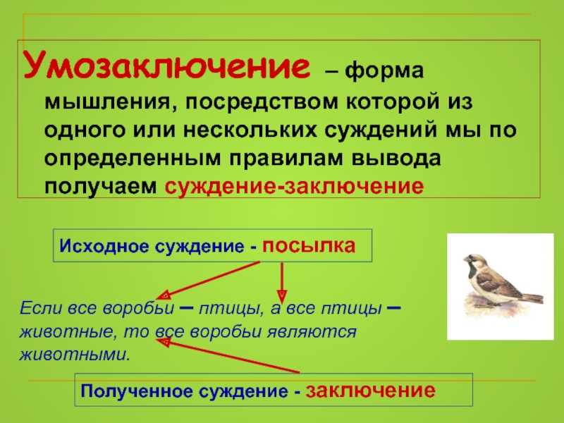 Умозаключение примеры