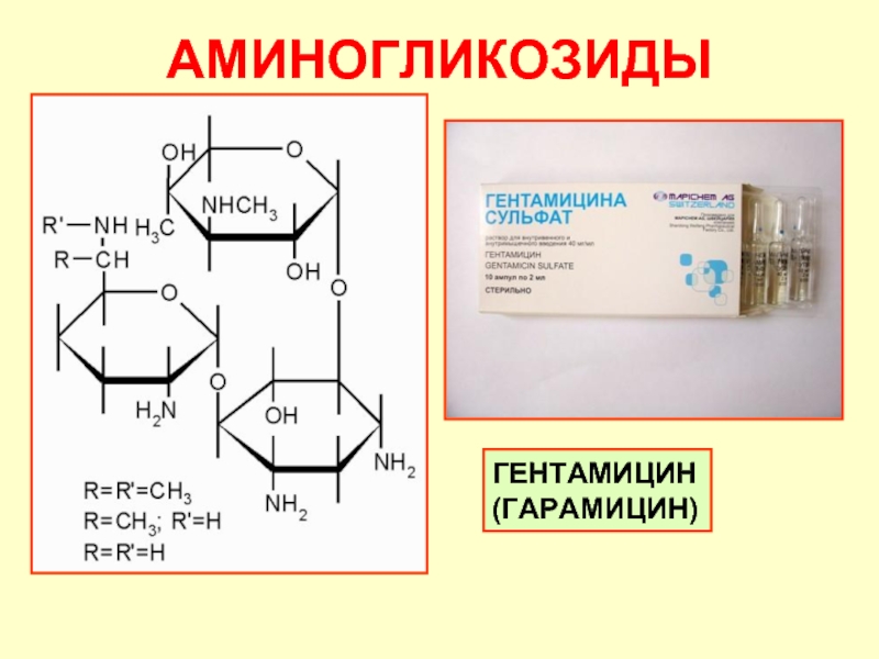 Аминогликозиды антибиотики презентация