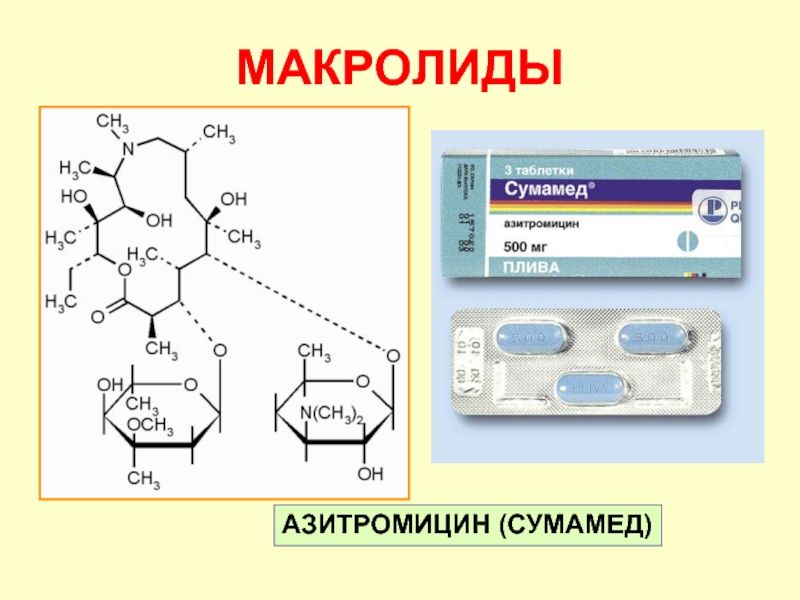 Макролиды антибиотики презентация