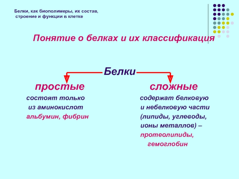 Биополимеры примеры