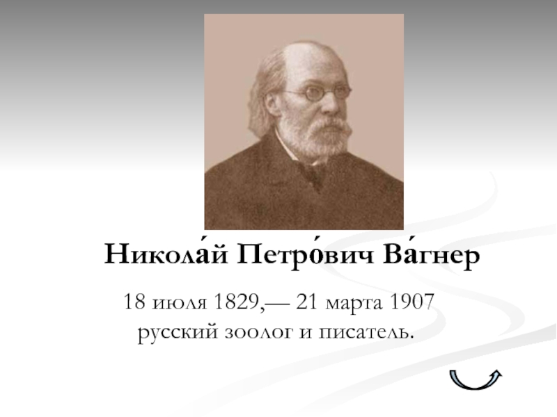 Николай петрович вагнер презентация