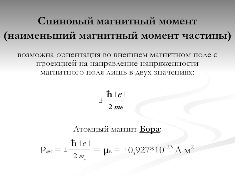 Реферат: Об ориентационной поляризации спиновых систем