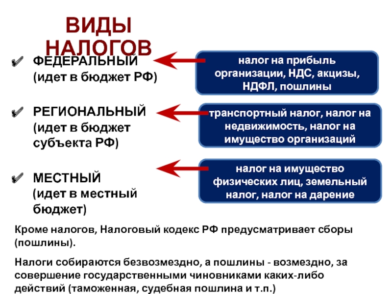 Акциз это какой налог федеральный или. Госпошлина это региональный налог. Налоги идут в федеральный бюджет. Эволюция налогообложения и имущества физических лиц. Таможенная пошлина вид налога федеральный или региональный.