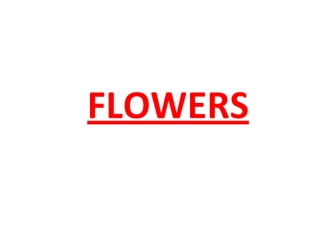 Flowers. Describe the picture
