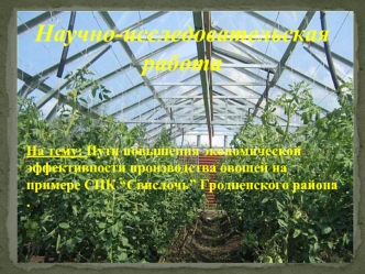 Повышение экономической эффективности производства овощей на примере СПК “Свислочь” Гродненского района