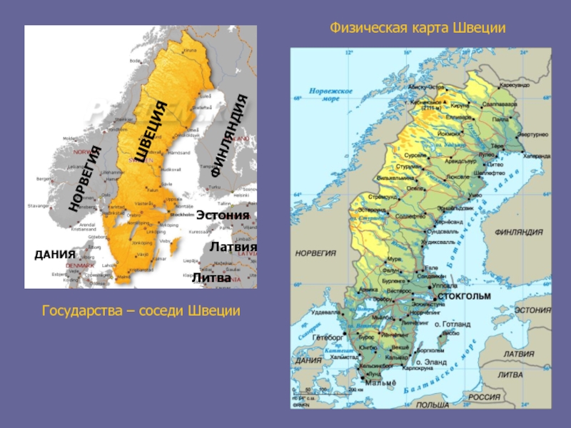 Реферат: Шведский период в Эстонии – Золотой век?