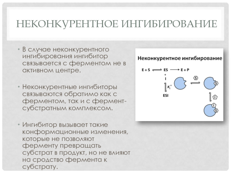 Конкурентное ингибирование ферментов