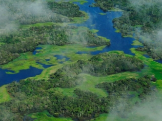 Bountiful Brazilian Amazon