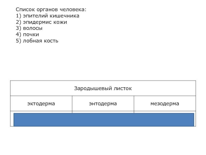 Органы список