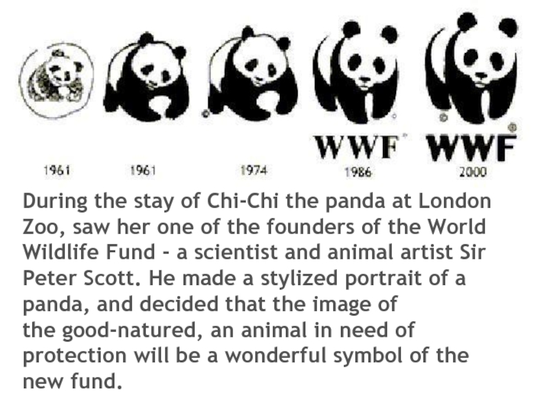 The world wildlife fund is. Www World Wildlife Fund. WWF презентация. WWF Foundation. The World Wildlife Fund 7 класс ответы.