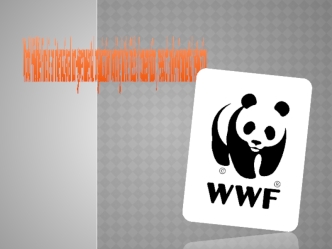 World wildlife fund