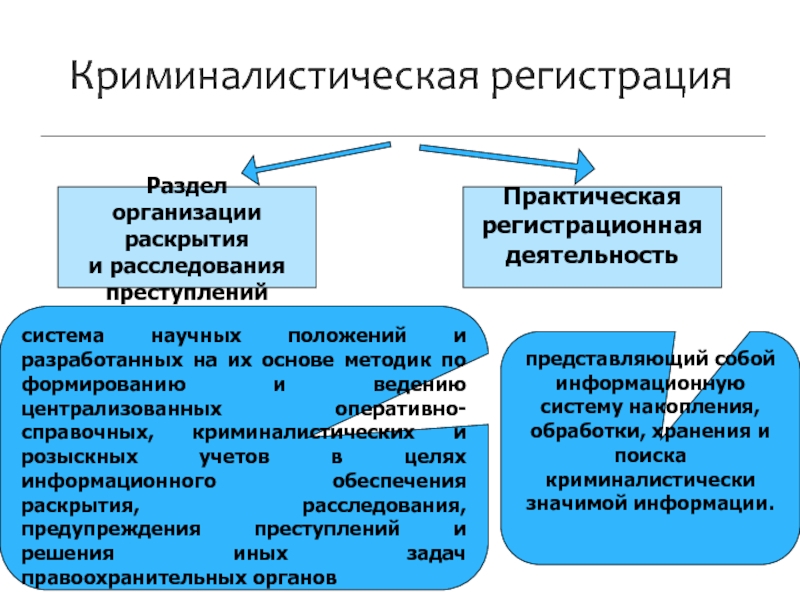 Реферат: Криминалистическая регистрация