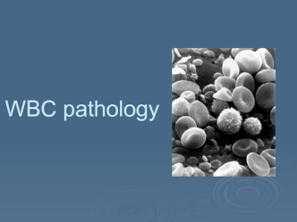 WBC pathology. (Subject 11)