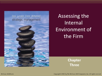 Assessing the Internal Environment of the Firm