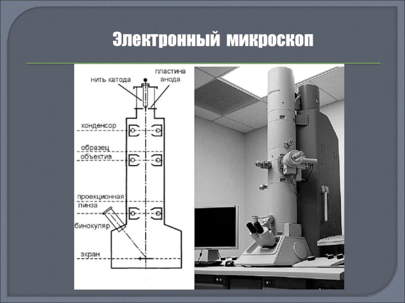 Электронный микроскоп строение 5 класс