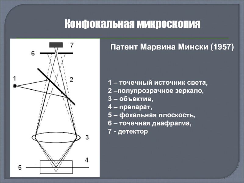 Конфокальная микроскопия. Марвин Минский конфокальный микроскоп. Конфокальный микроскоп патент. Конфокальный микроскоп схема.