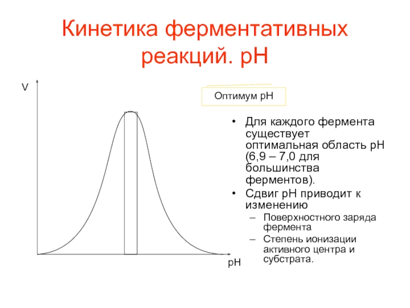 Презентация кинетика ферментативных реакций