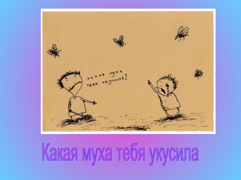 Какая вы муха. Ловить мух значение фразеологизма. Какая Муха тебя укусила. Какая Муха тебя укусила фразеологизм. Рисунок какая Муха тебя укусила.