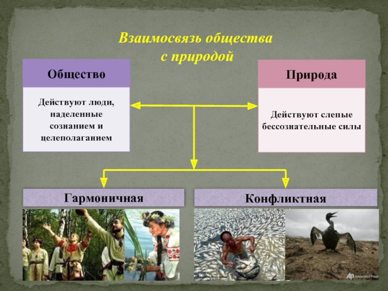 Человек общество природа обществознание 8 класс презентация