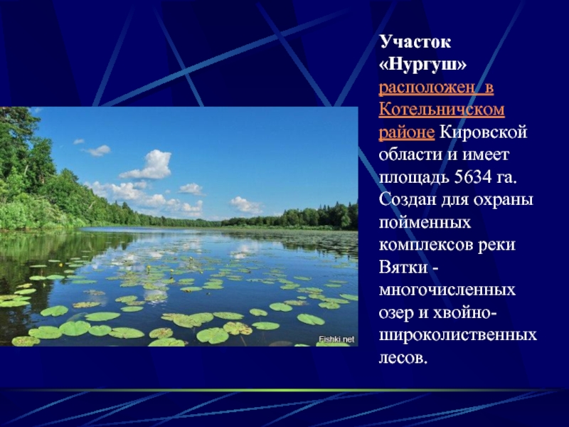 Охрана природы в кировской области 4 класс проект по окружающему миру