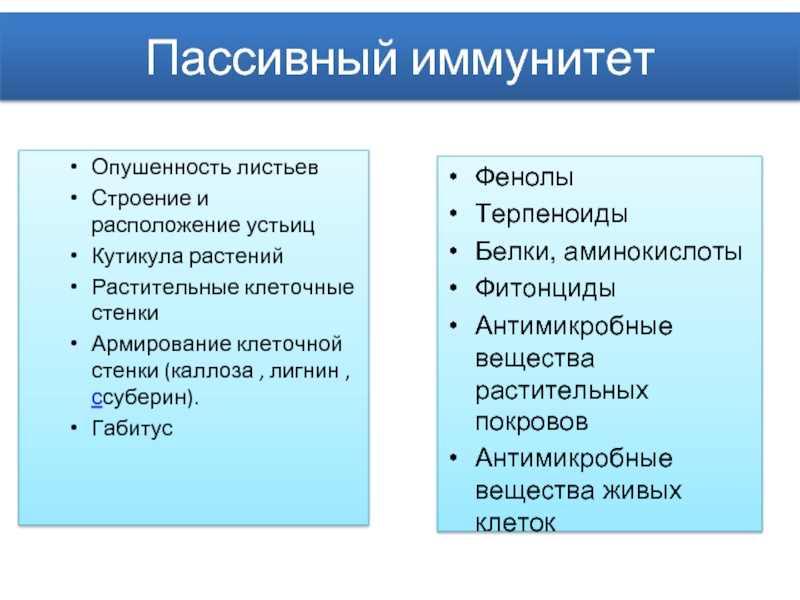 Пассивный иммунитет. Факторы активного и пассивного иммунитета. Факторы активного иммунитета растений. Пассивный врожденный иммунитет растений. Теория иммунитета растений.