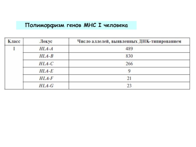 Результаты полиморфизм генов. Полиморфизм генов МНС. Полиморфизм генов.