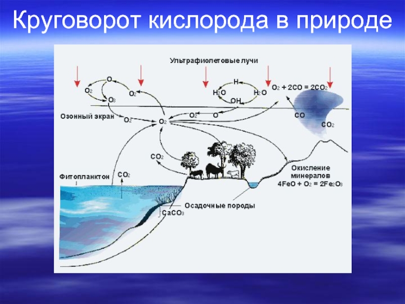 Круговорот водорода в природе схема и описание