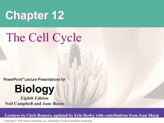 Chapter 12. The Cell Cycle