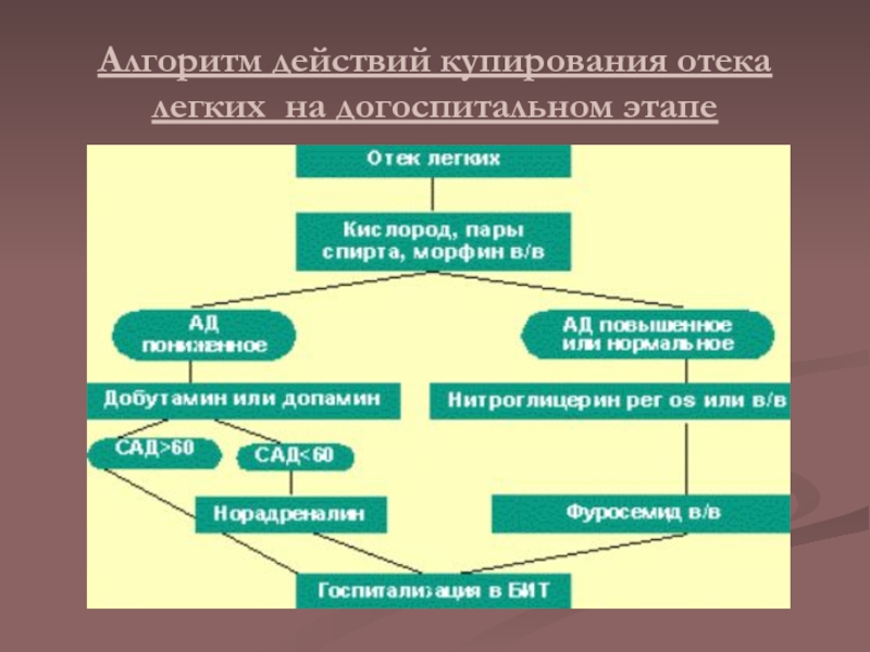 Алгоритм действий купирования отека легких на догоспитальном этапе