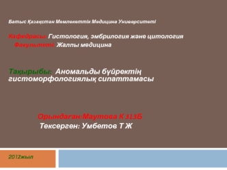 Аномальды бүйректің гистоморфологиялық сипаттамасы