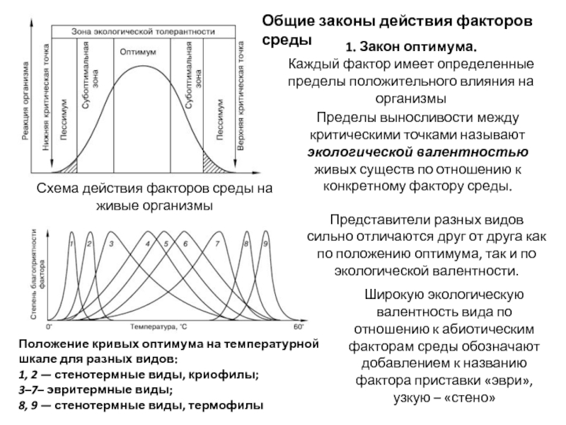 Факторы определяющие пределы выживаемости. Схема действия фактора среды на организмы. Положение кривых оптимума на температурной шкале для разных видов. Схему действия факторов. Действие факторов среды на живые организмы.