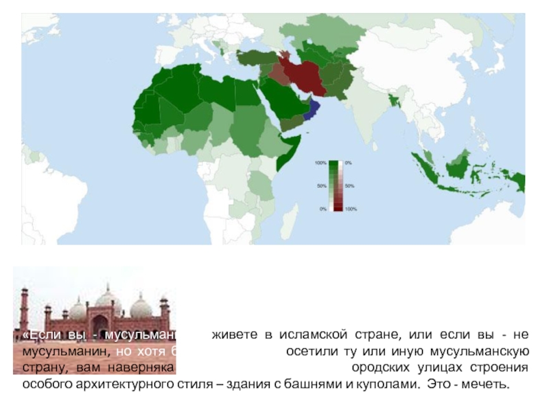 Мусульмане на карте. Мусульманские страны.