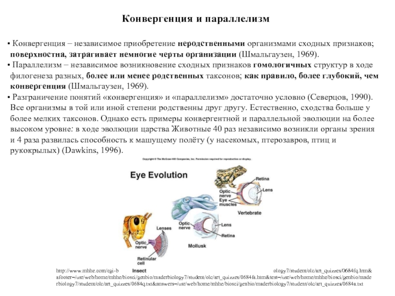 Параллельная эволюция