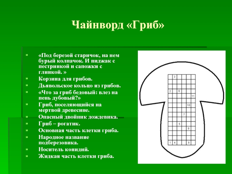 Кроссворд грибы. Чайнворд грибы. Чайнворд на тему грибы. Чайнворд на тему грибы 5 класс. Чайнворд по биологии.