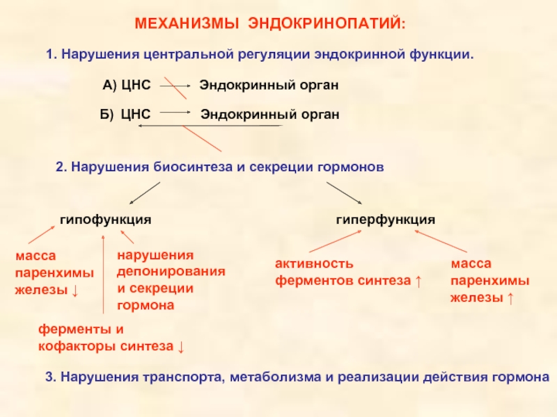 Эндокринопатия это простыми словами