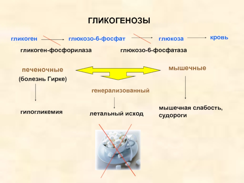 Гликогенозы