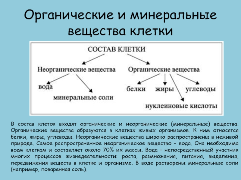 Вещества органические и неорганические схема