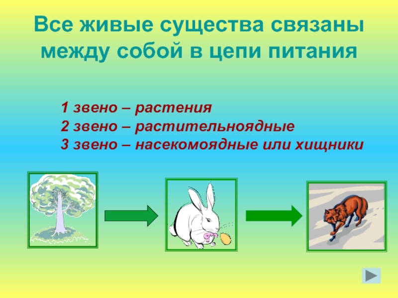 Цепь питания 3 класс схема окружающий мир 3 класс