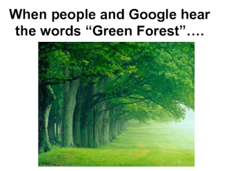 When people and Google hear the words “Green Forest”…