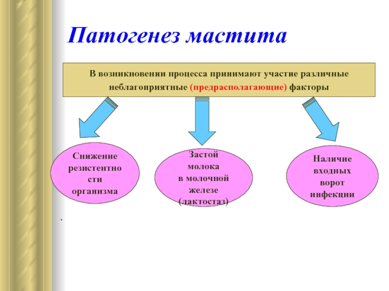 Лактационный мастит презентация