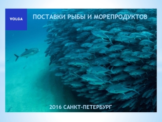 Компания ООО Волга. Поставки рыбы и морепродуктов