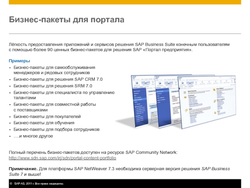 Сервис решение. Бизнес пакет. SAP AG пакет. Пакет для бизнеса пример. SAP офисный пакет для документов.