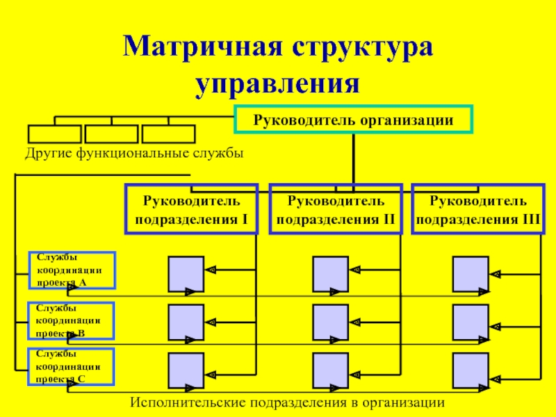 Организационная структура проекта функциональная матричная проектная